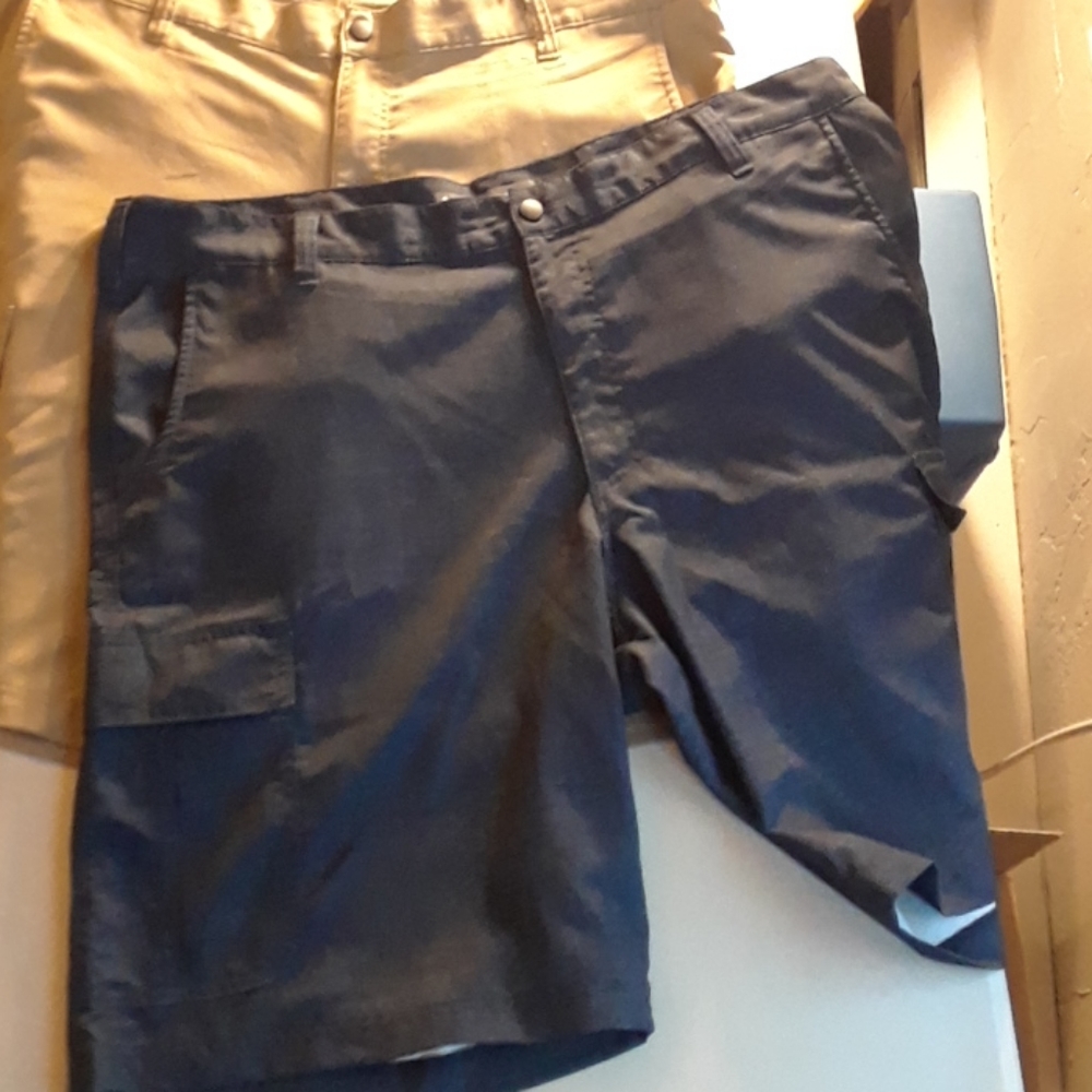 Men's Lightweight LEE shorts